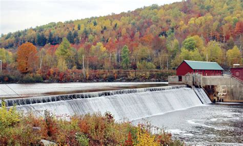 The Future of Decentralised