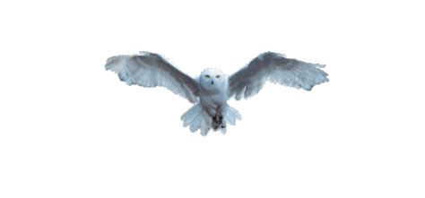 The Significance of Tokenomics